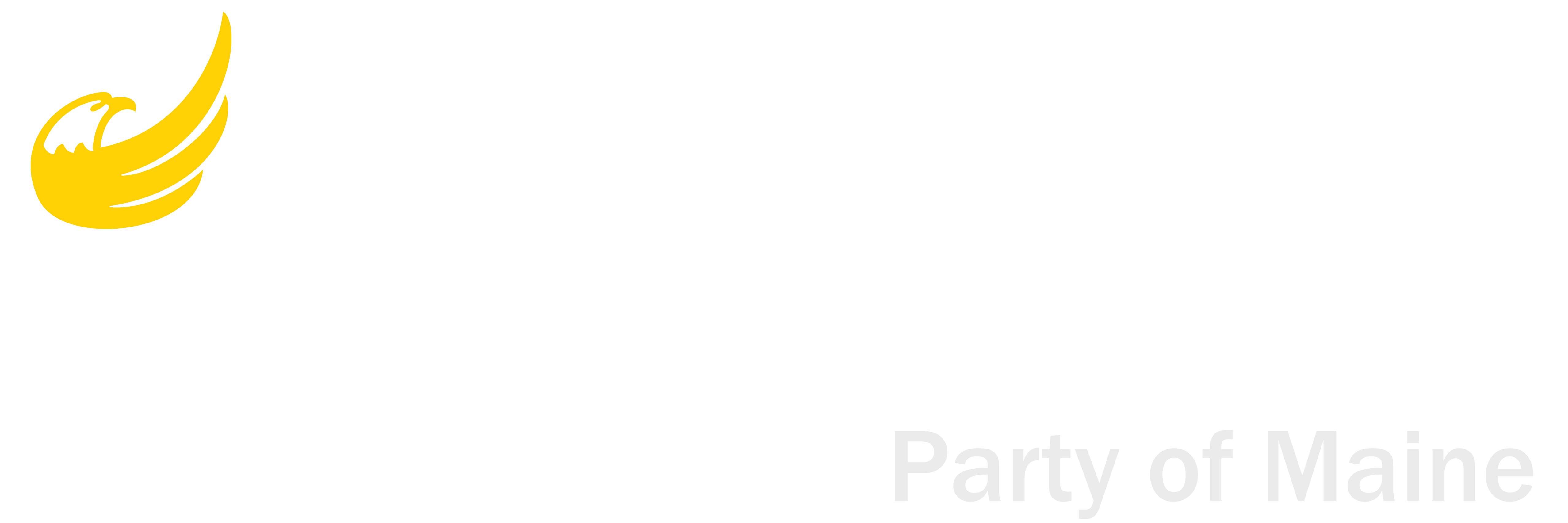 libertarian political party